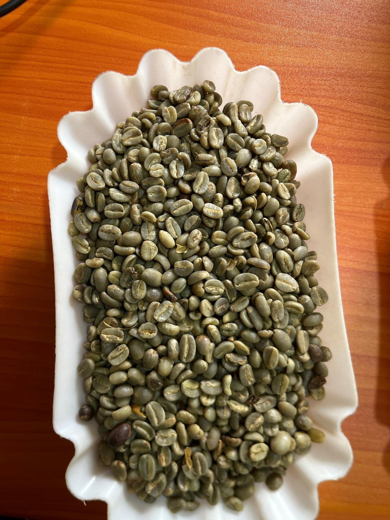 Green coffee beans presented for inspection